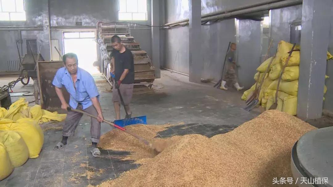 十师团场改革：富了职工活了企业