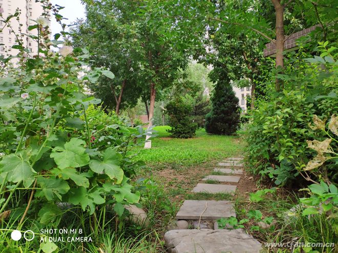 骁龙845最便宜手机,8000元的小米8骁龙845最新报价