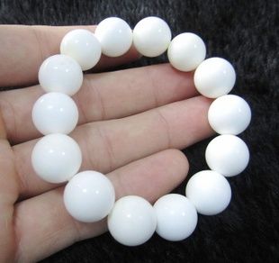 砗磲是什么,砗磲是什么时候列为违禁品的