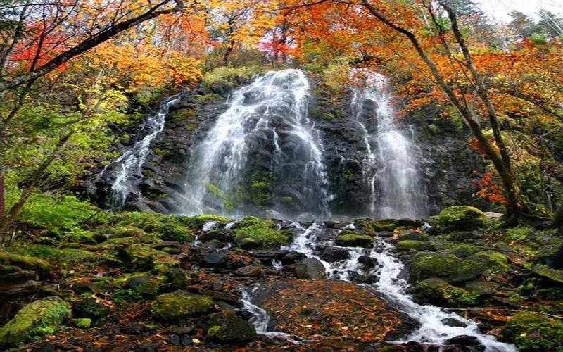 孟达天池与孟达自然保护区,西宁孟达天池旅游攻略