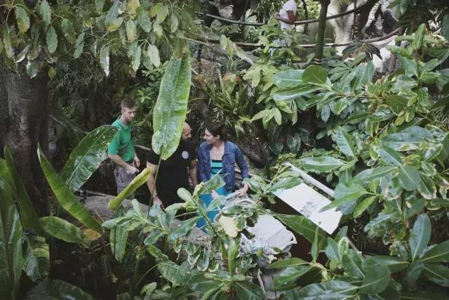 迪拜旅游攻略最低价,迪拜旅游攻略省钱