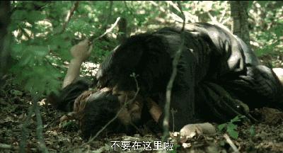 杀婴、弃母、恋兽,如此“道德败坏”,竟成影史经典