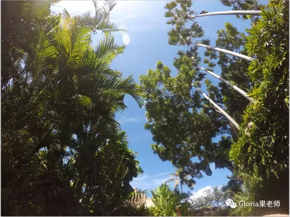 亚航过境签,亚航去泰国行李托运规定