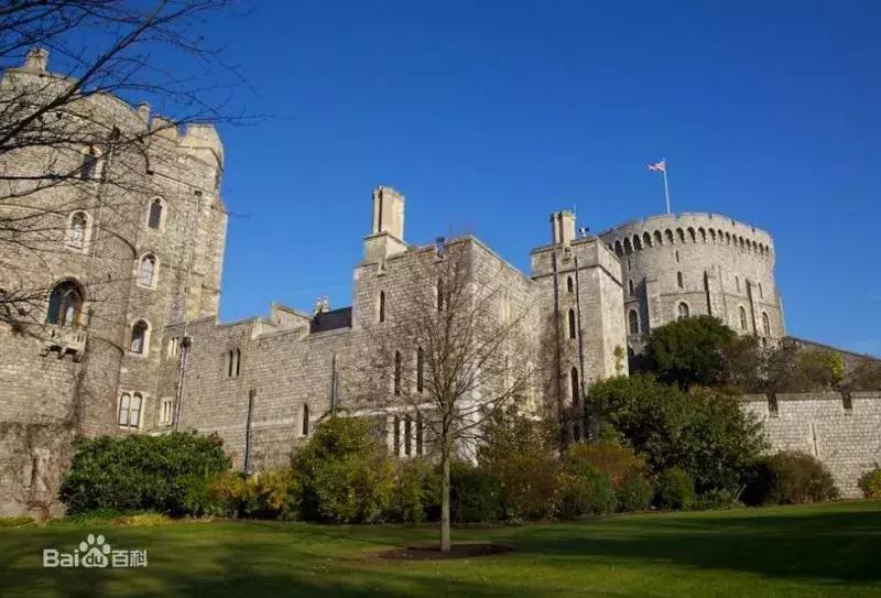 世界杯冷门频发,世界杯冷门