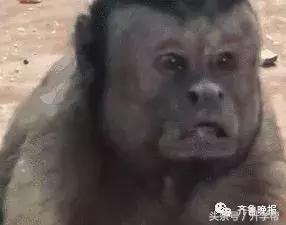 内马尔滚、毒奶榜……世界杯最新梗了解下！网友恶搞可以说很凶残了