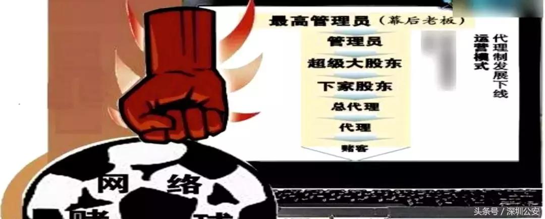 网络赌球背后骗局视频,网络赌球骗局揭秘视频