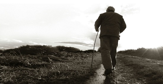 骑士老虎茶花500万购买黑糖珍珠奶茶秘方奶茶圈炸了