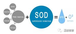 学生党美白平价好物,不吃土必买的护肤品