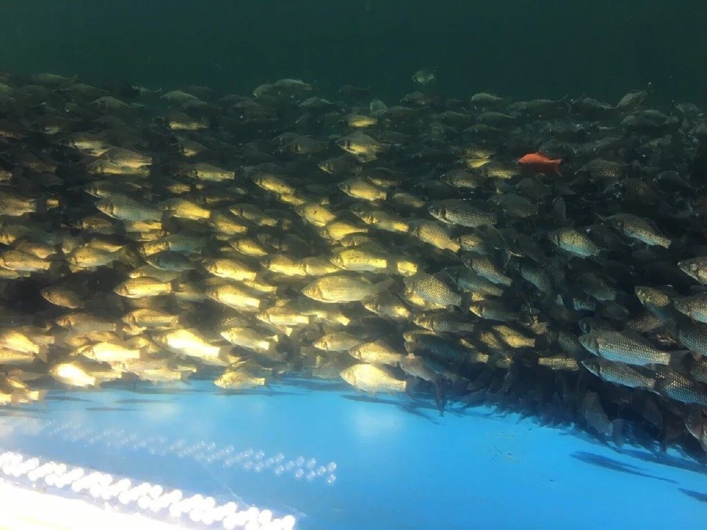 夏季小药有用吗,夏季用小药