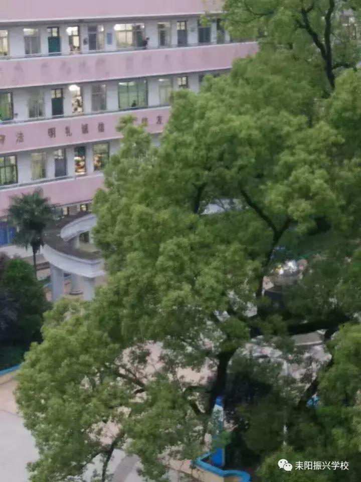 耒阳振兴学校2021年高考情况,耒阳市振兴学校高考成绩名单