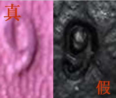 花3万2买的名牌包,捡漏奢侈品包是真的吗