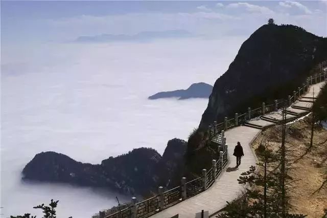 三联周刊,三联周刊讲述的是什么