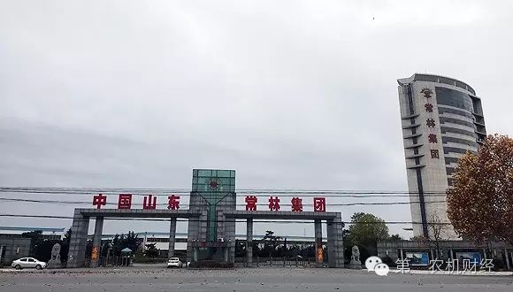 八年内获3.1亿元补贴“机械工业百强”山东常林涉嫌科研造假