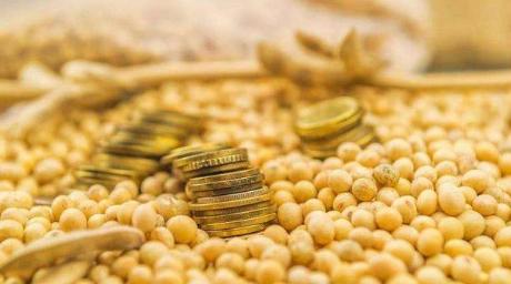 一升成品大豆油是多少斤,大豆油几斤出一升