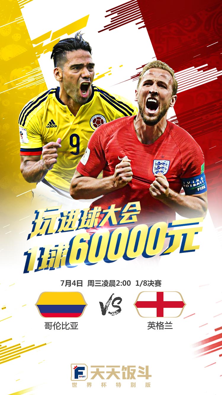 瑞典世界杯2010,瑞典世界杯总决赛亚军
