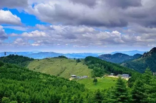 云顶草原花海,驼梁云顶草原风景