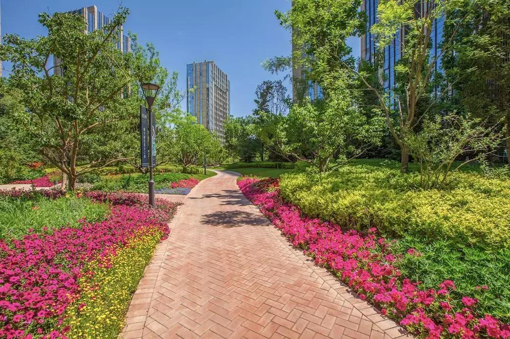 国际庄里有什么,国际庄指的是哪里