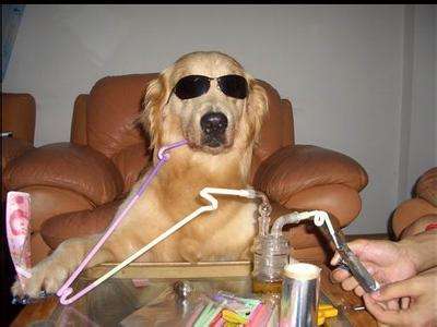 谨慎交友远离吸毒环境,身边有吸毒的朋友需要远离吗