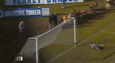 濂ョ淮鍏颁笘鐣屾澂缁忓吀杩涚悆gif,椹媺澶氱撼涓栫晫鏉粡鍏歌繘鐞僩if