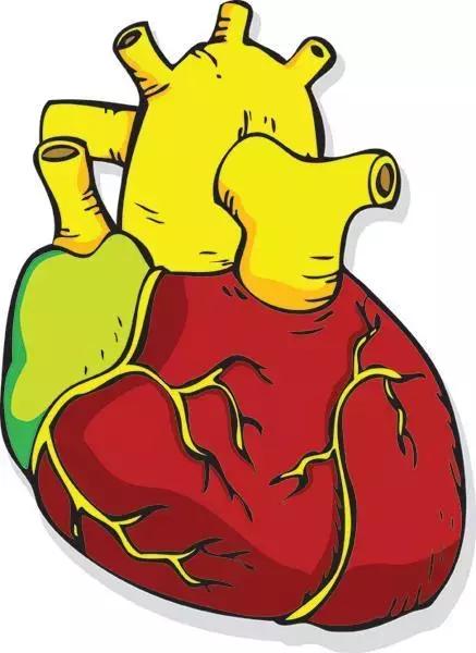 世界杯的背后,世界杯真相大揭秘