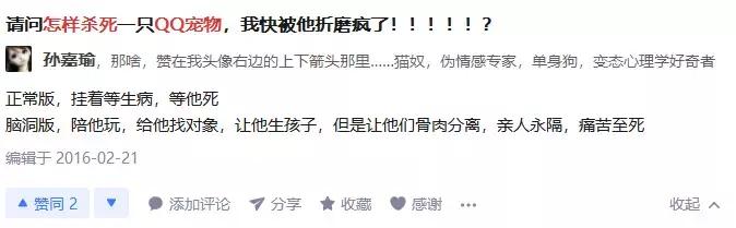 qq宠物将停运最后视频,qq宠物关停服务器