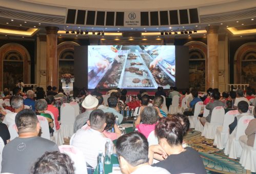 冰岛进口6年野生海参,超大海洋海参