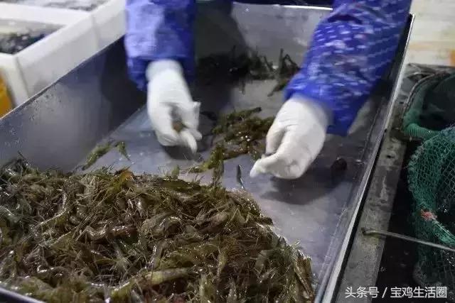 宝鸡能留住年轻人吗,宝鸡如何留住年轻人