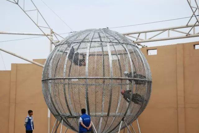 秦皇岛沙雕海洋公园门票,秦皇岛沙雕海洋乐园