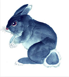 十二生肖六合与三合有什么区别,十二生肖三合和六合详解