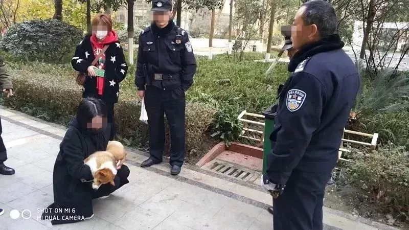 拾到手机不归还犯法吗,捡到手机拒不归还犯法吗