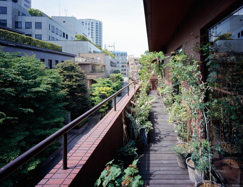 烦，阳台太大了！移门墙挪10公分，老师傅一愣，反过来说拜我为师