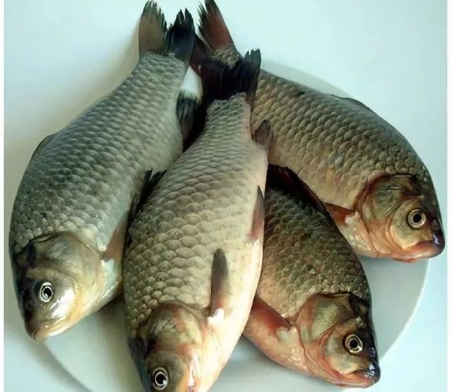 荆门将迎大雨,荆门今年雨季天气