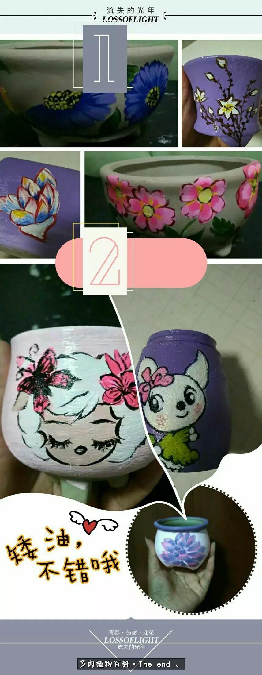 宝宝养多肉,养多肉宝妈