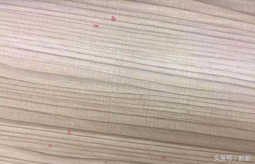 倪妮林允近况如何,倪妮和林允