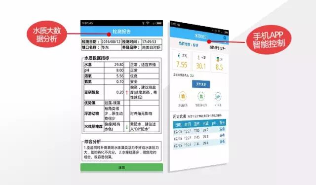 蓝藻刚开始发现怎么防治,蓝藻的危害和防治的方法