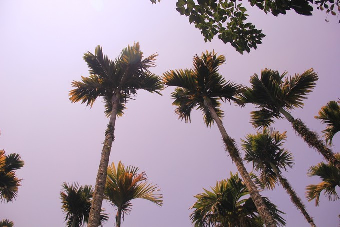 恋上这片海,一个人绚丽多彩的三亚自由行