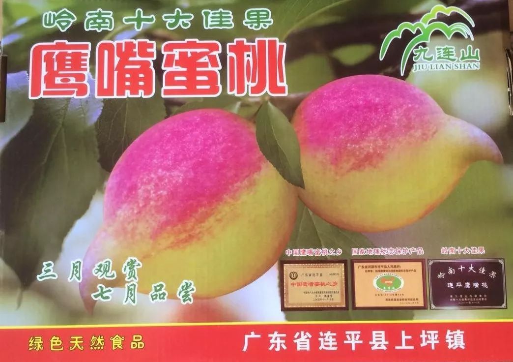 又脆又甜连平鹰嘴桃,连平正宗鹰嘴桃