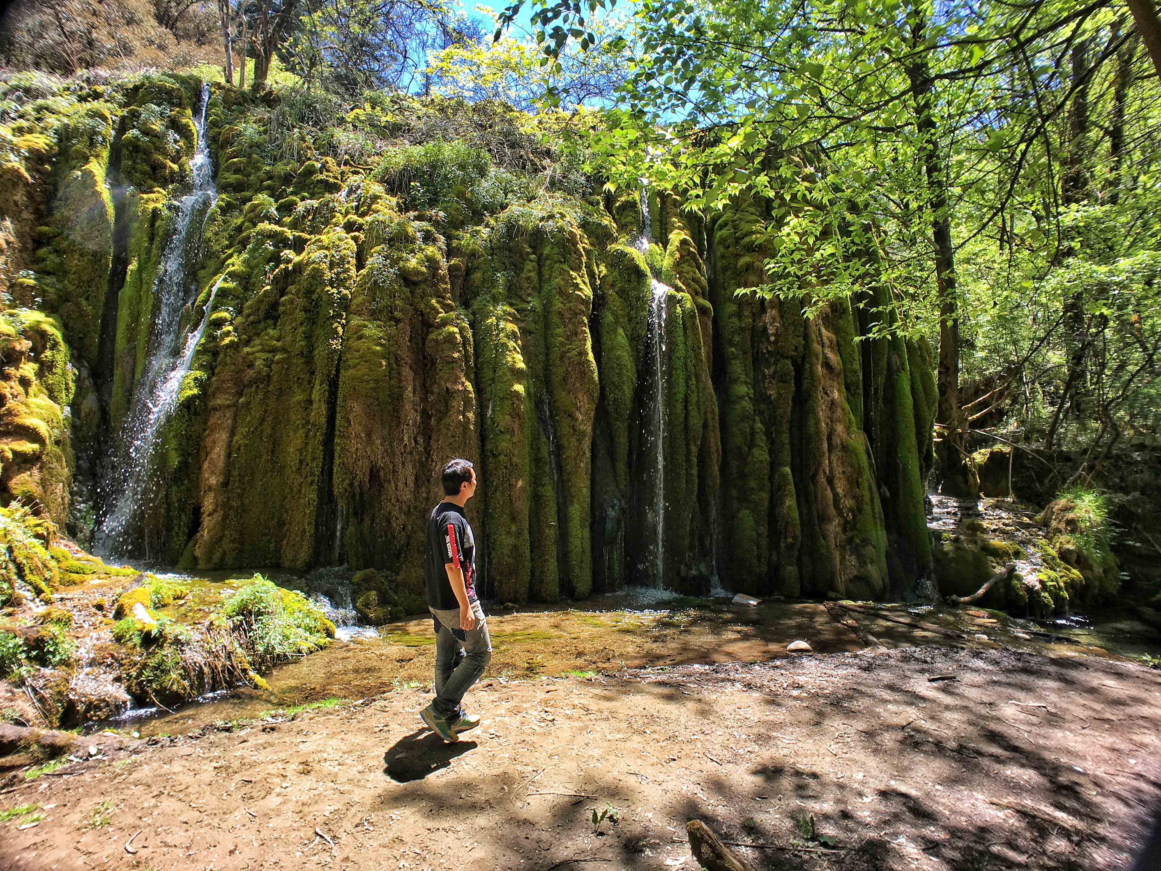 强迫症治疗一次需要多少钱,强迫症治疗一年费用多少