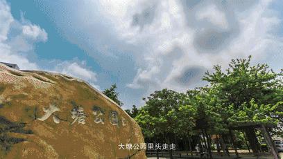 吴川超燃视频,吴川震撼的视频