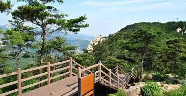 世界杯足彩中奖单,世界杯足彩怎么中奖最多