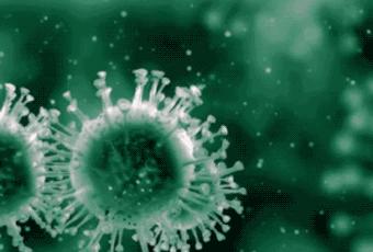 神药疗效真相揭秘,神药为什么那么贵