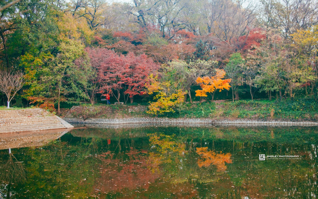 南京比较火的小众东西,南京比较好玩又小众的地方