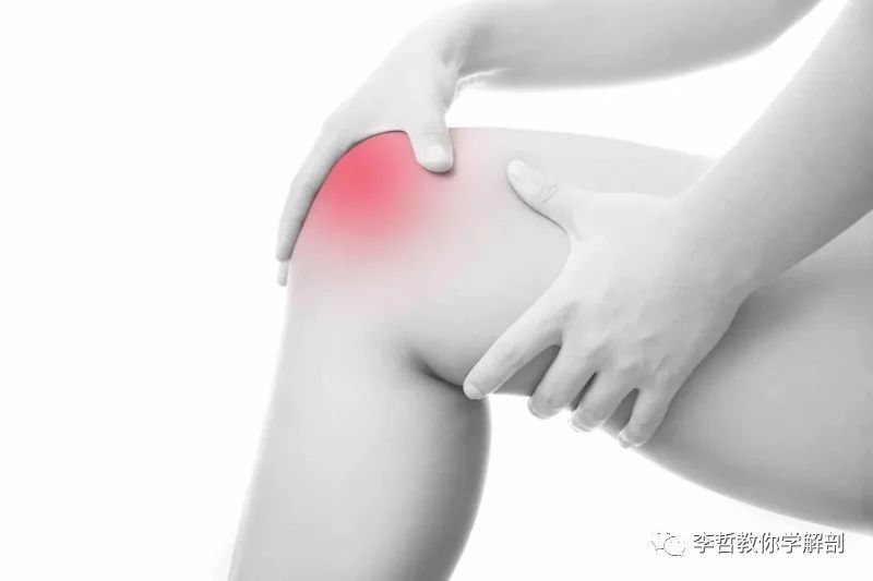 膝前痛的恢复方法,膝痛的诊断与治疗