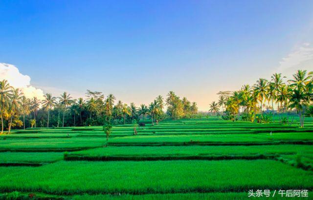 巴厘岛自由行15天,巴厘岛9天攻略