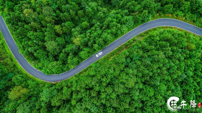石台牯牛降风景区攻略一日游图片,安徽牯牛降风景区自驾游攻略图
