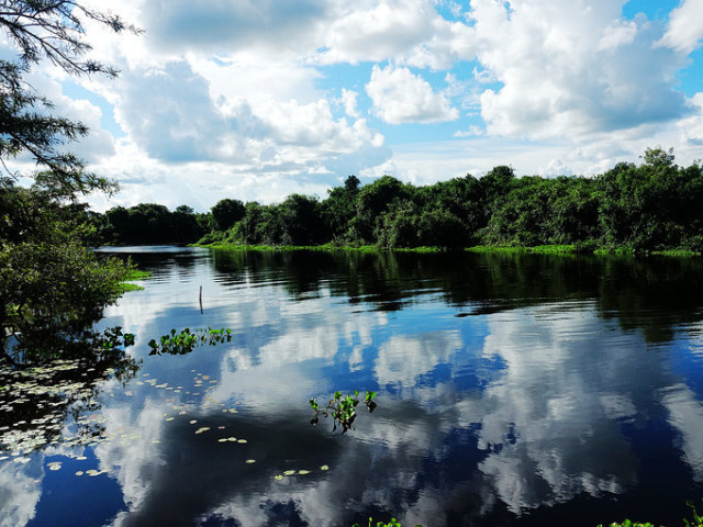 法国vs巴西最新比赛,法国vs乌拉圭2014