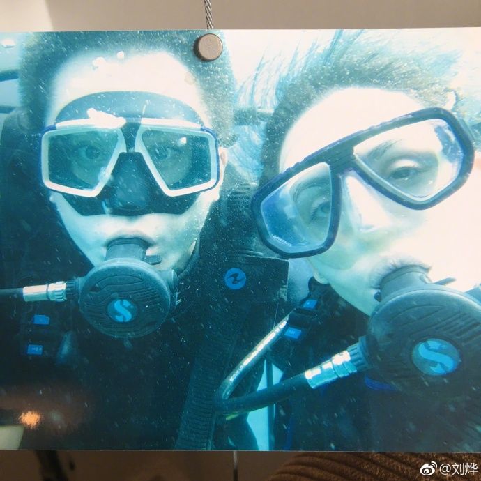 刘烨与妻子安娜结婚的视频,刘烨与安娜的幸福婚姻