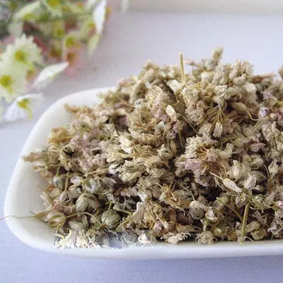 家乡平遥有种神仙都羡慕的花-仙幕花俗称“麻麻花”