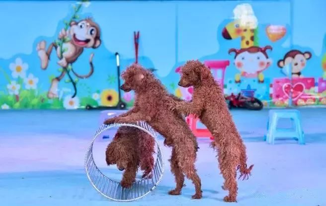 这里的紫薇和荷花美翻了！送你一个花样嘉年华，还有酷爽一夏！