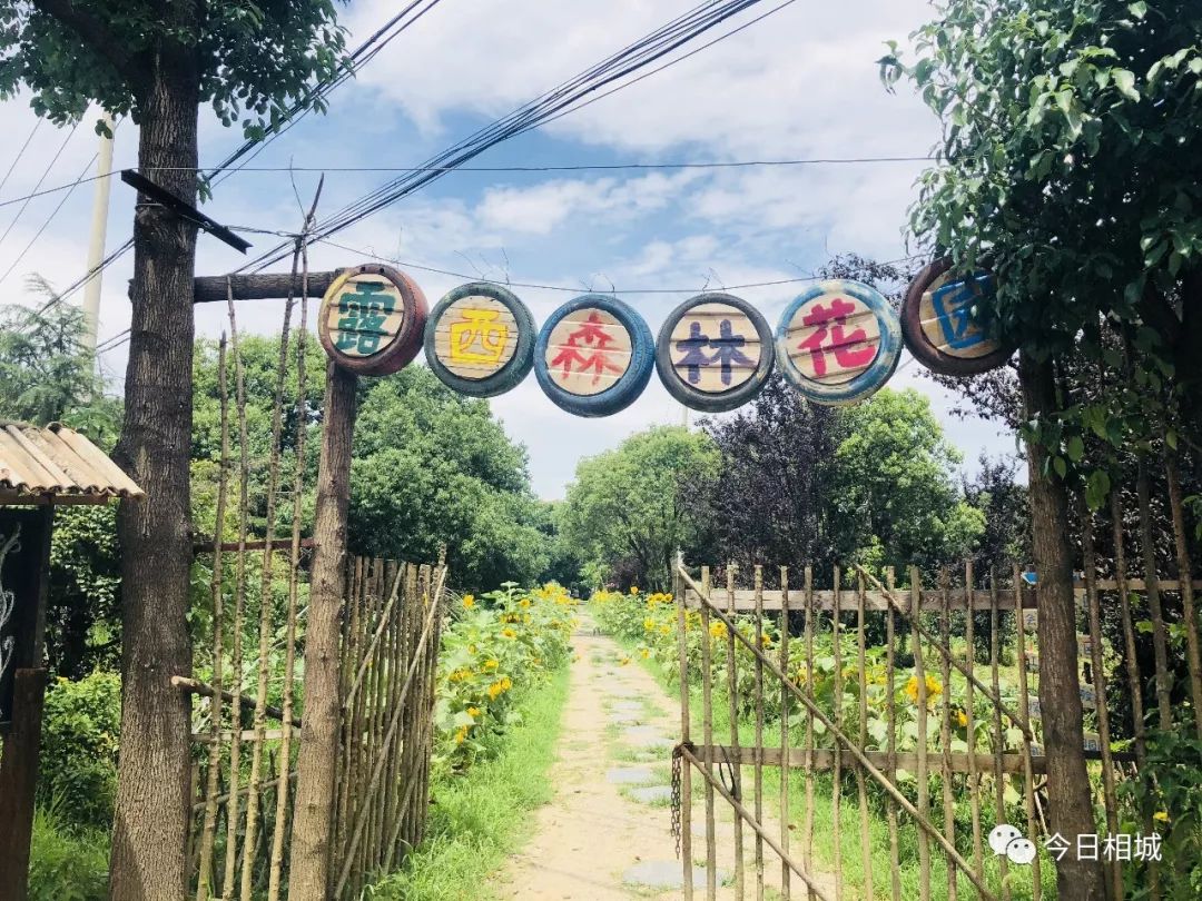 人人都说阳澄湖好，我却只想和你在这慢慢变老